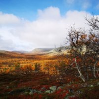 4 - Melanie Stammler